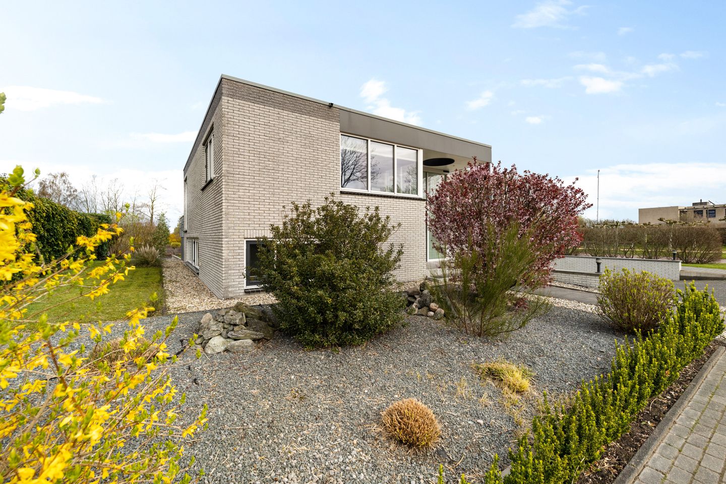 Photo 10 of Broekfinne 44