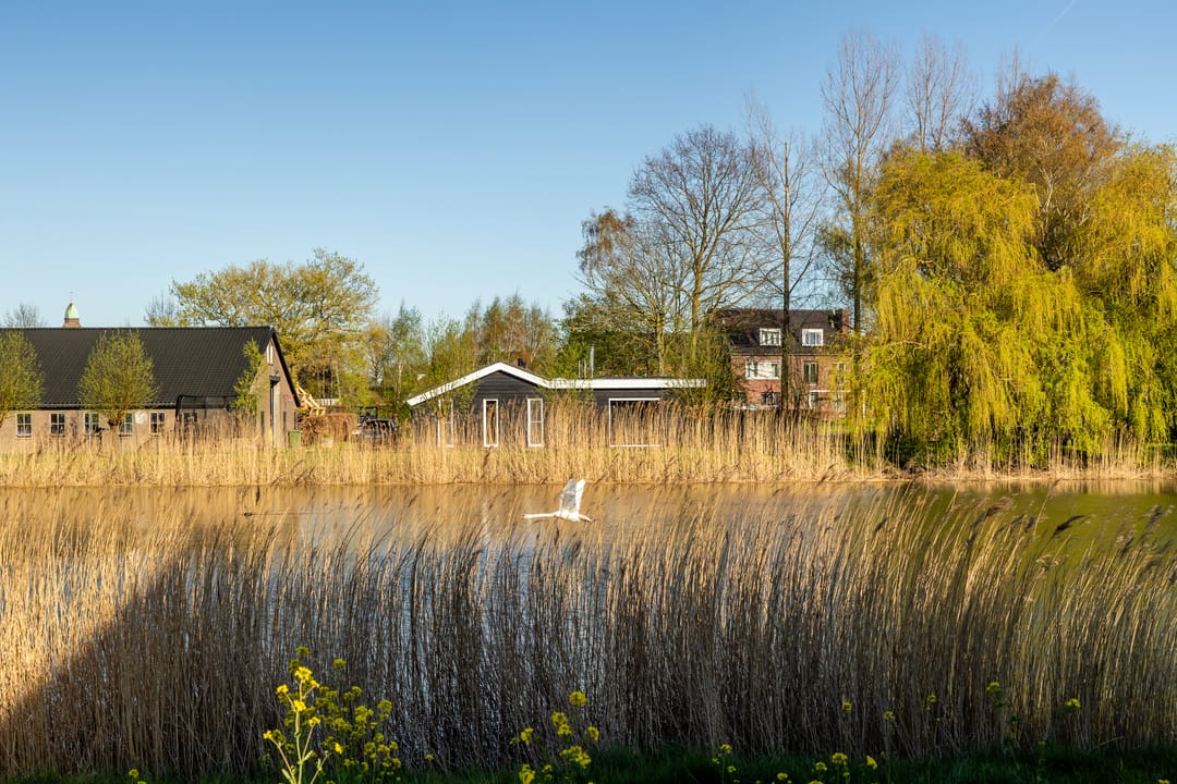 Photo 56 of Lange Weide 218