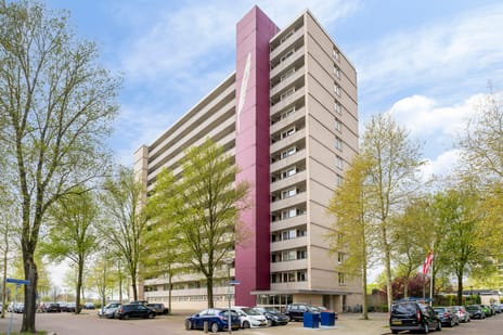 Socrateslaan thumbnail