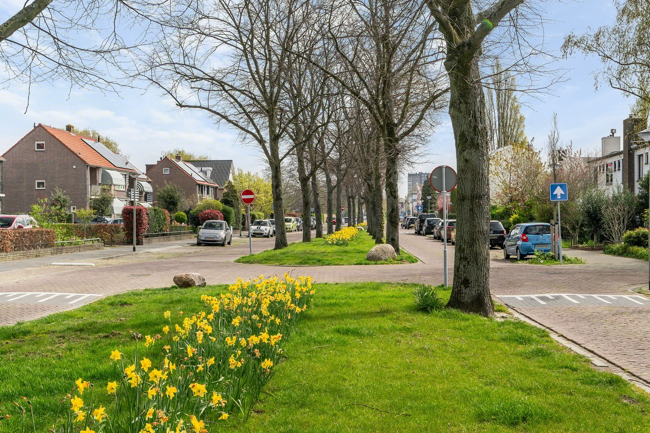 Photo 6 of Riouwlaan 65