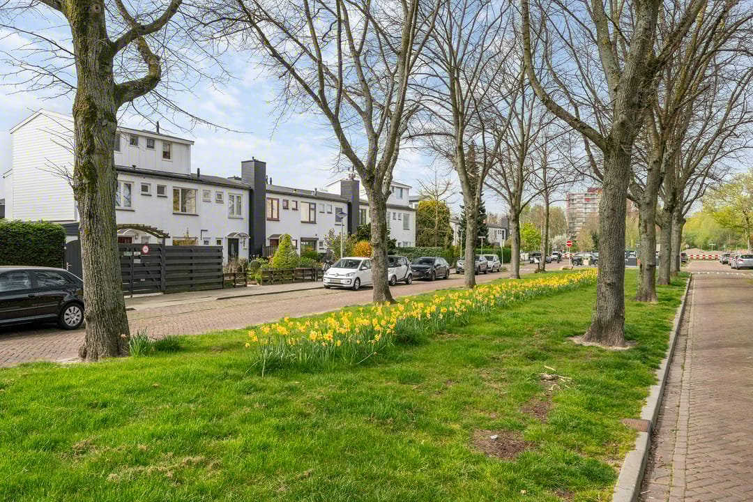 Photo 43 of Riouwlaan 65