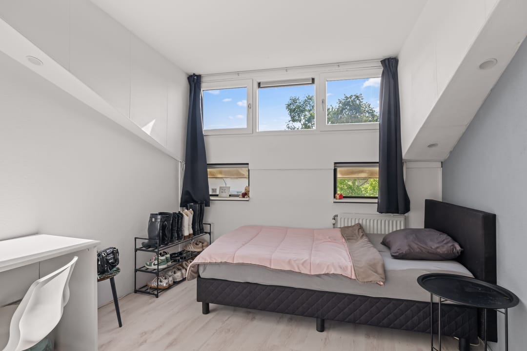 Photo 38 of Pijlkruid 9