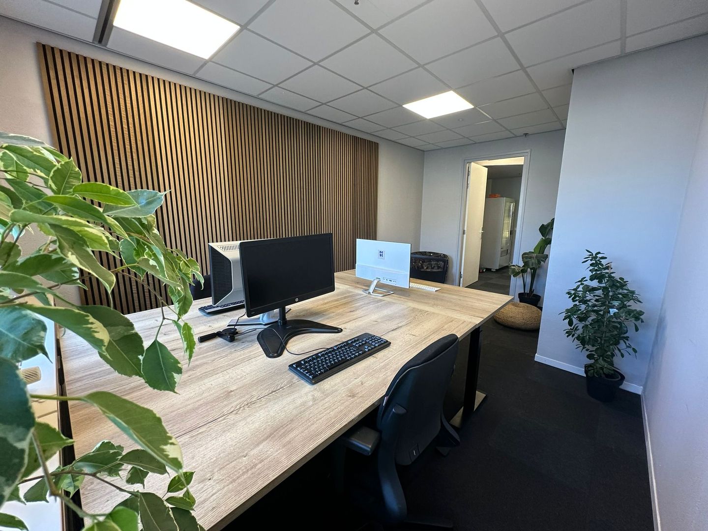 View photo 3 of Burgemeester Drijbersingel 51