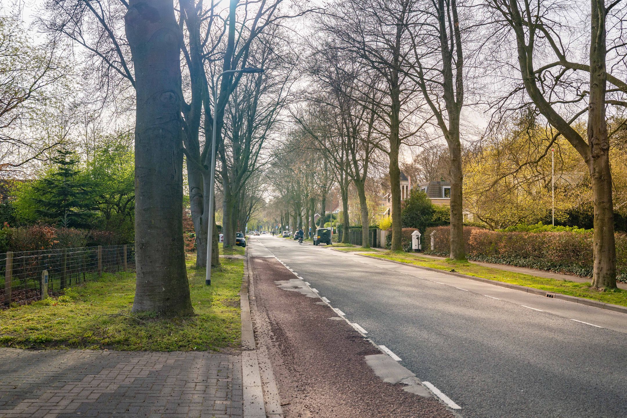 Foto 45 van Koningin Wilhelminalaan 20-A