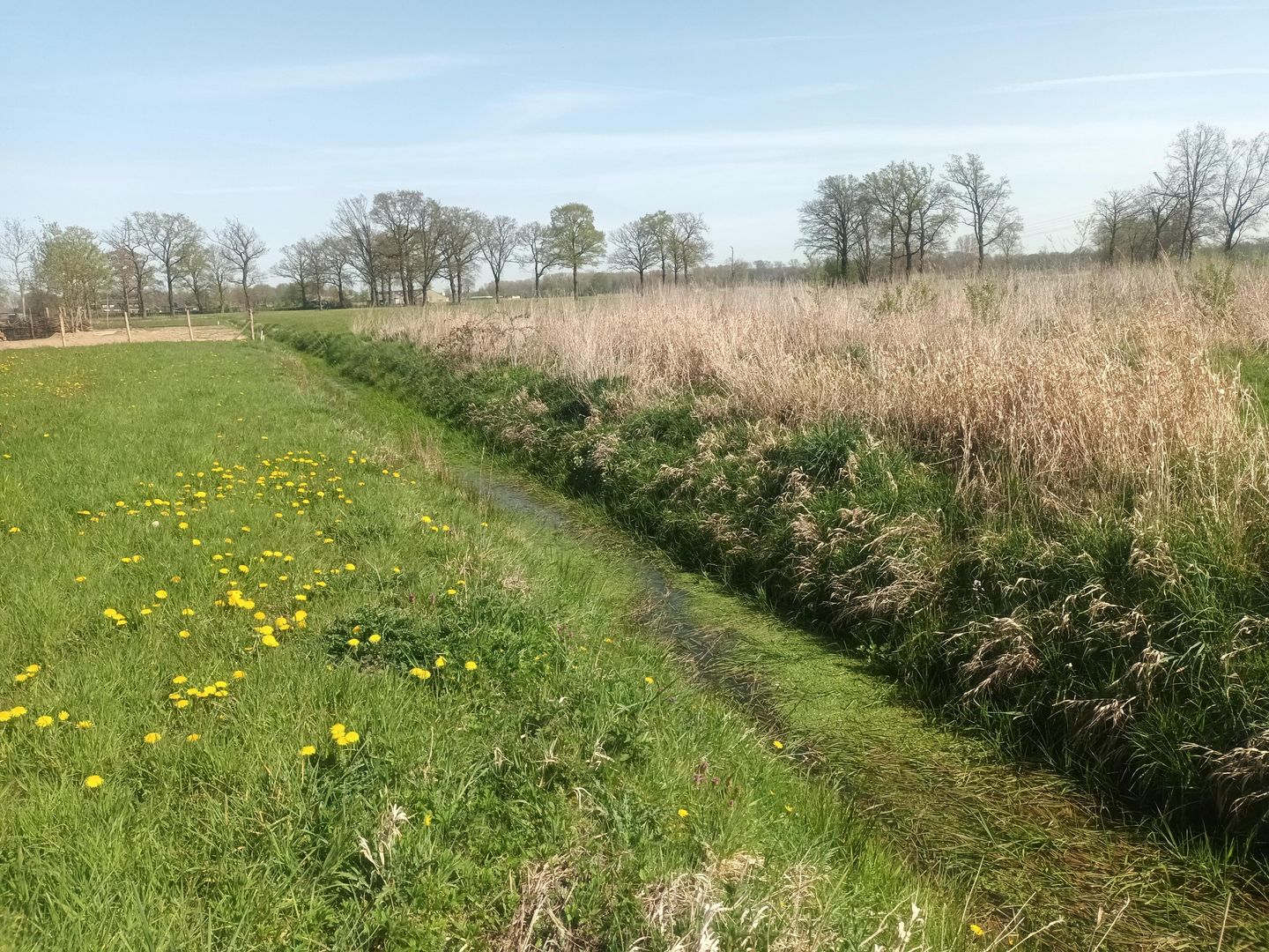 Soeterbeekseweg - Nuenen - Afbeelding 7