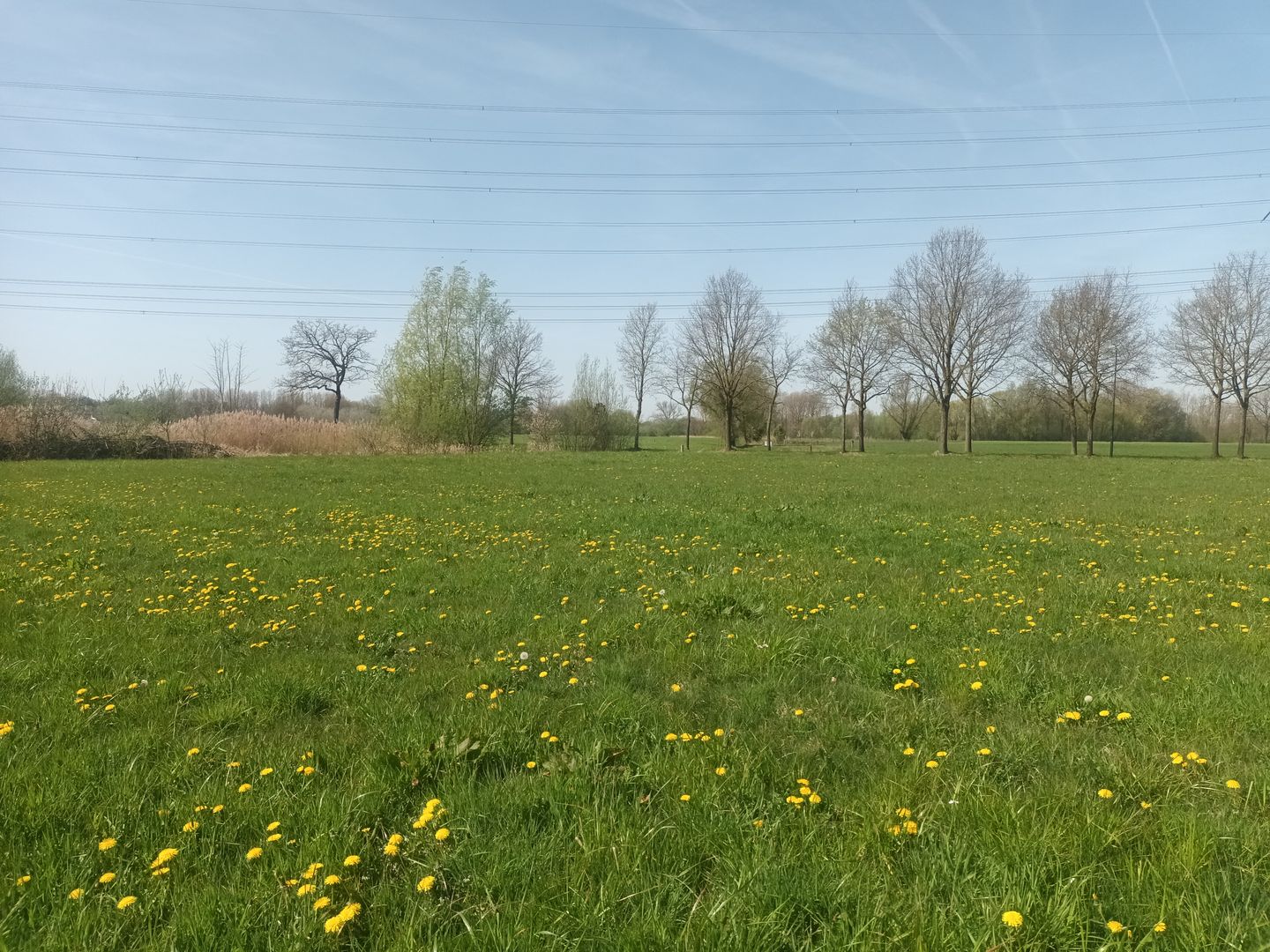 Soeterbeekseweg - Nuenen - Afbeelding 6