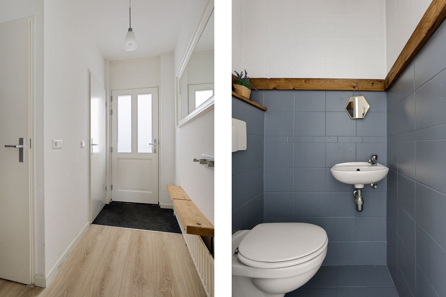 Photo 4 of Morane 15