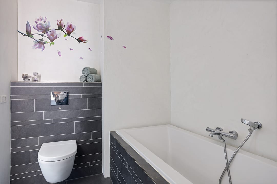 Photo 32 of Morane 15