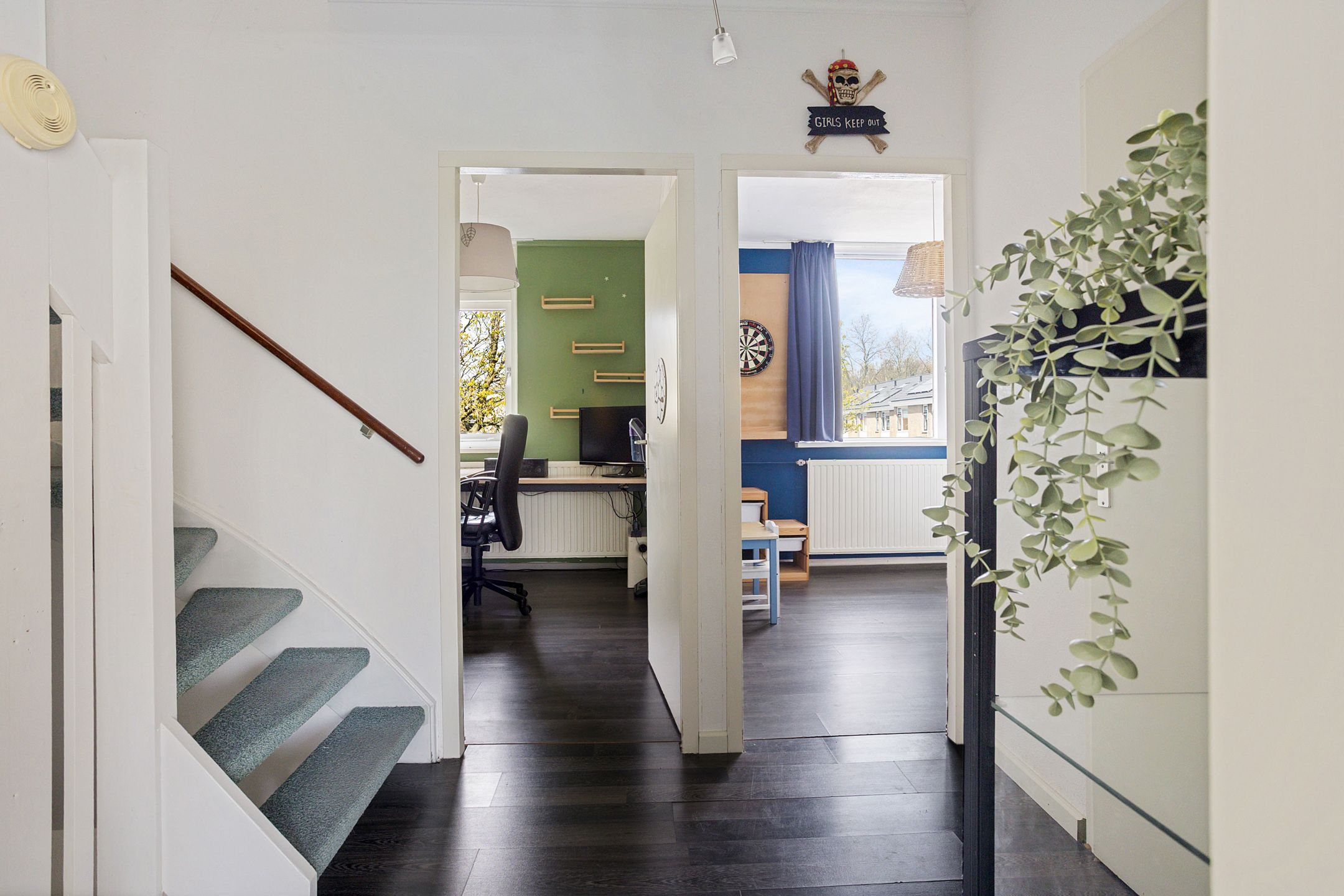 Photo 18 of Morane 15