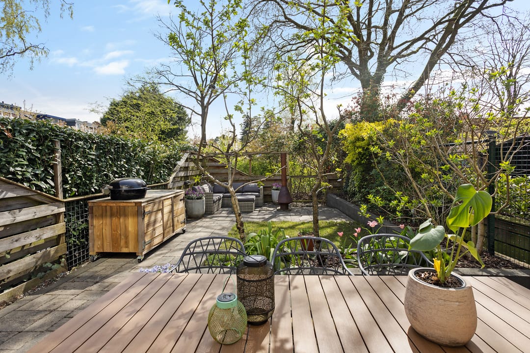 Photo 38 of Morane 15