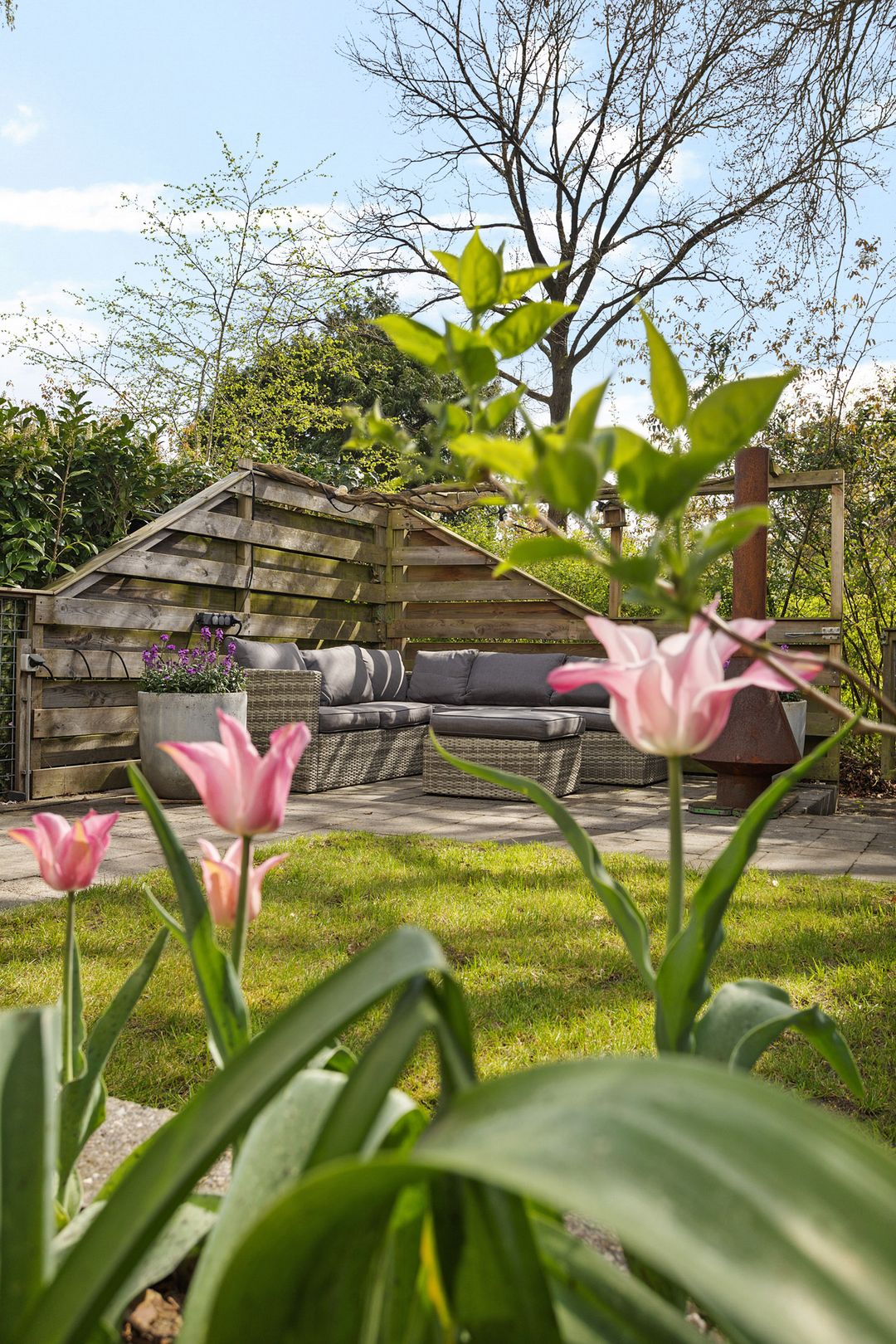 Photo 41 of Morane 15