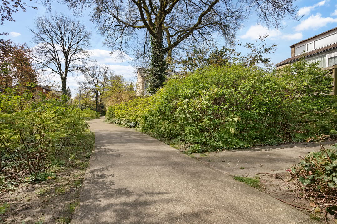 Photo 43 of Morane 15