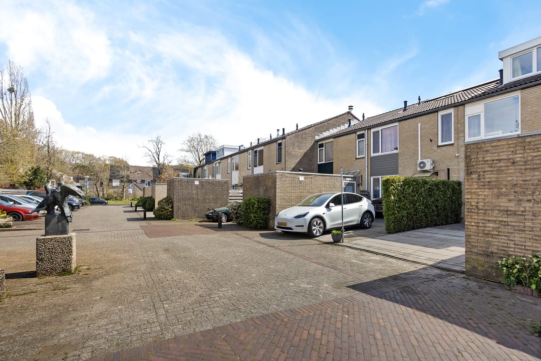 Photo 46 of Morane 15