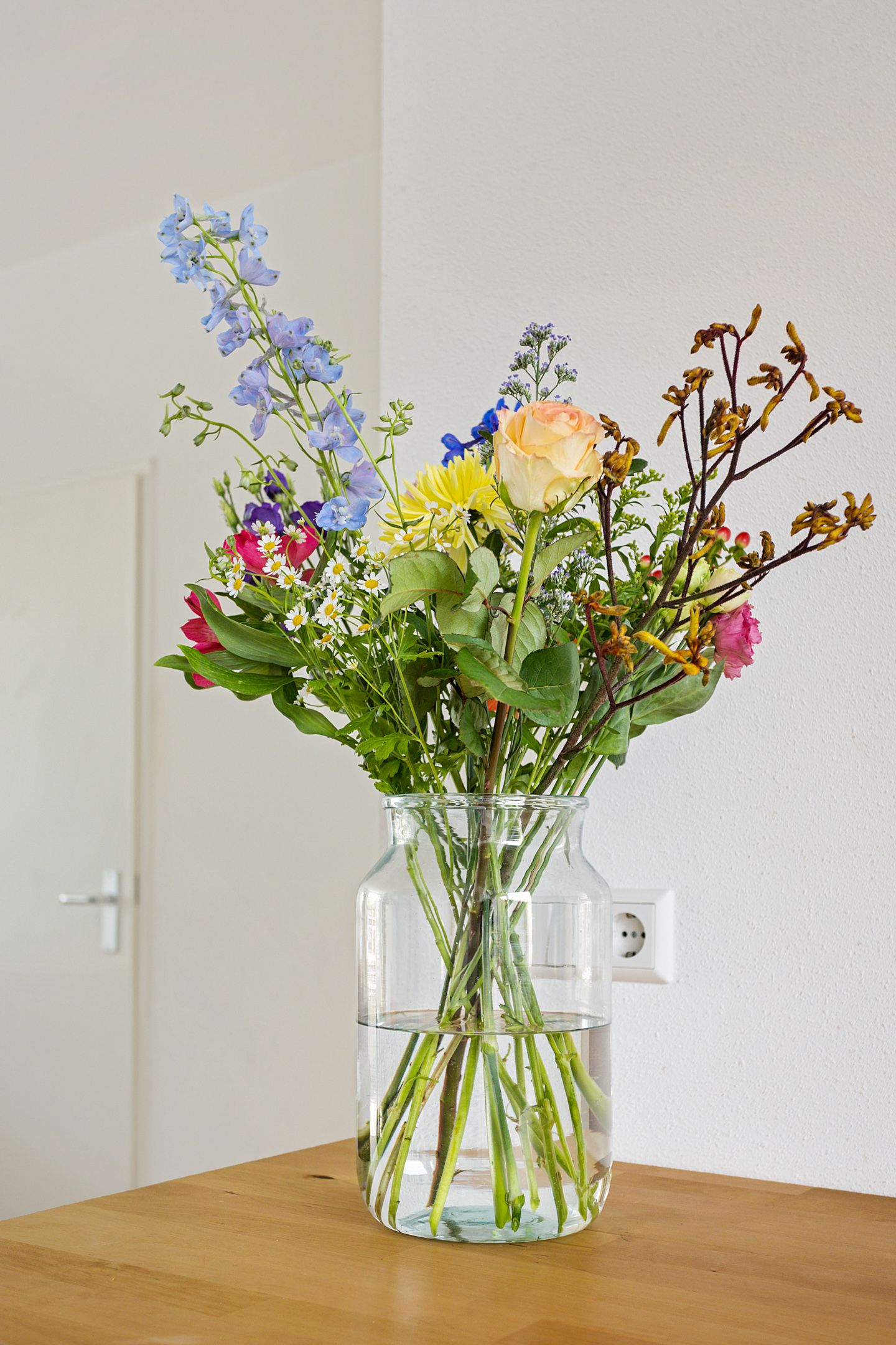 Photo 12 of Morane 15