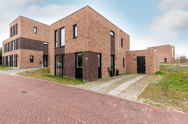 Grasduinen 5 main image