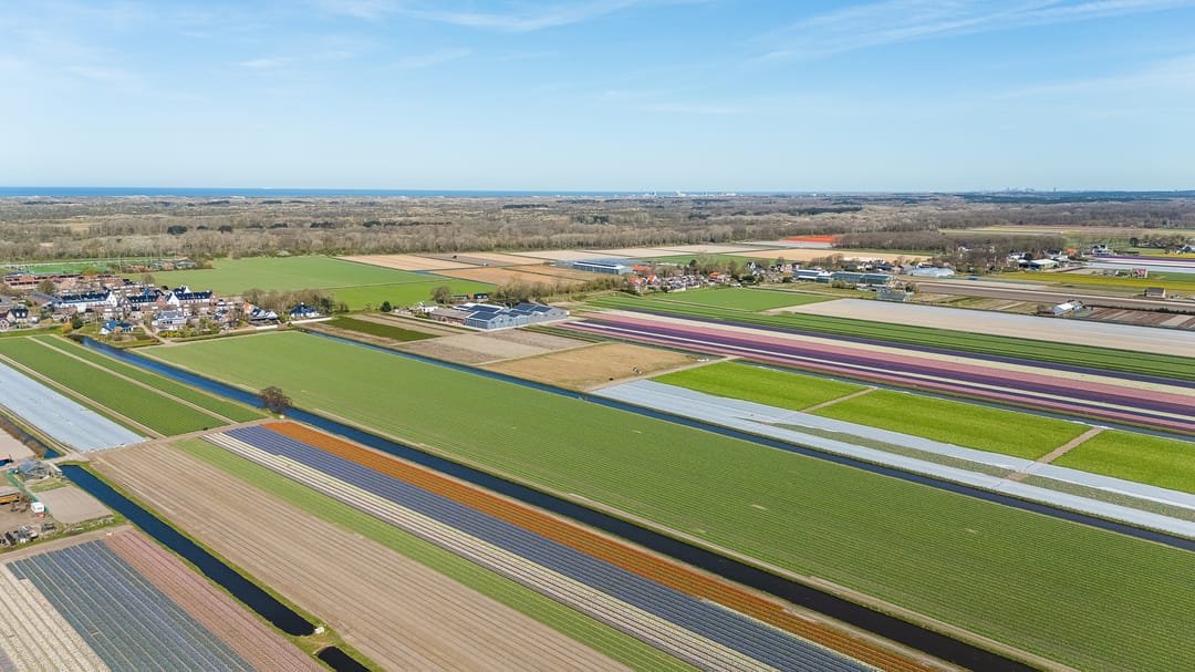 Foto 41 van Noorder Leidsevaart 5