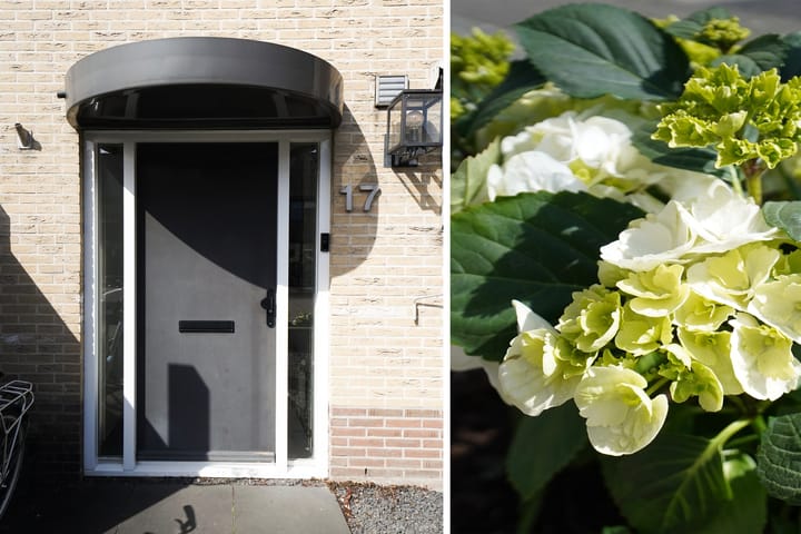 Photo 2 of Valkstraat 17