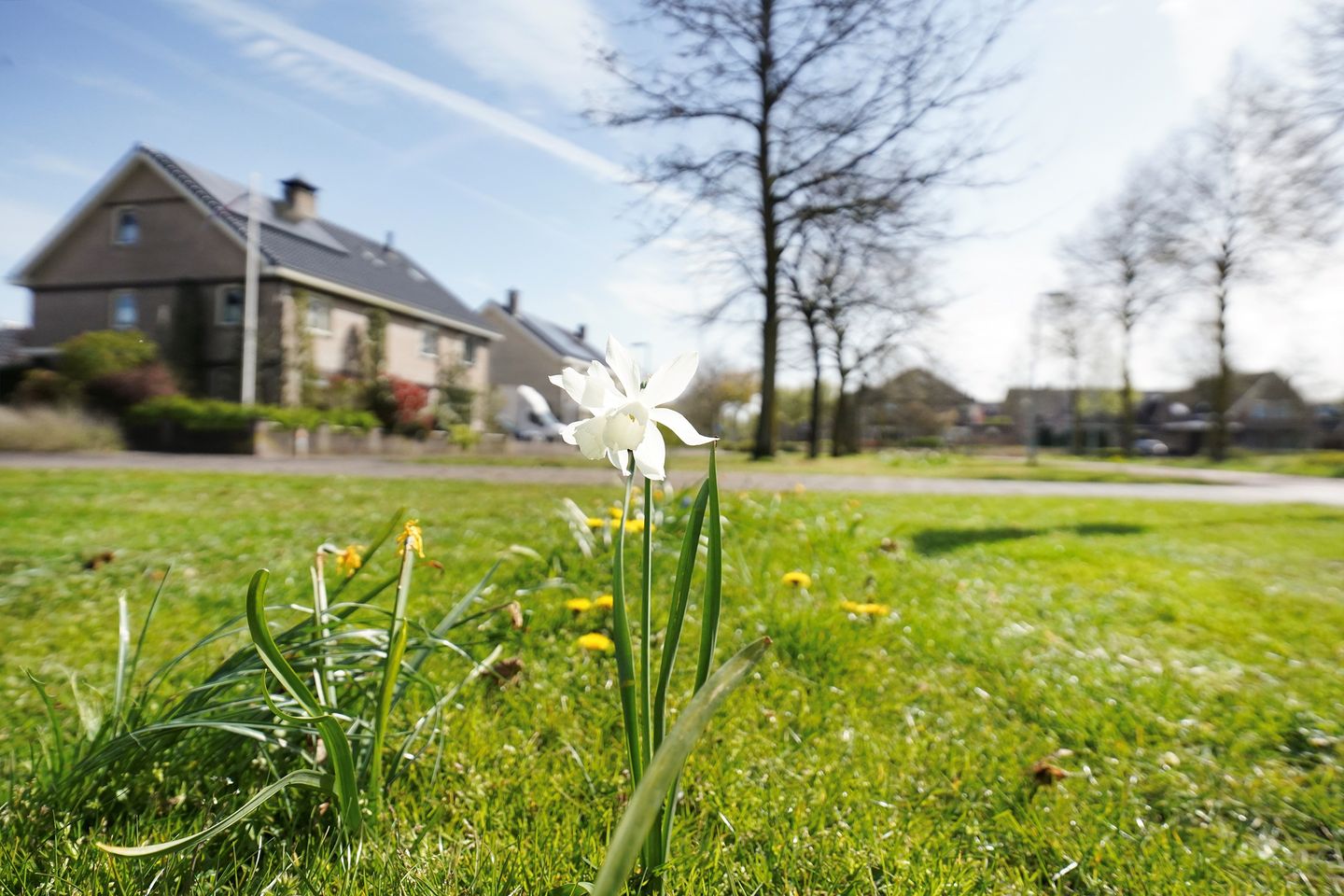 Foto 25 van Valkstraat 17