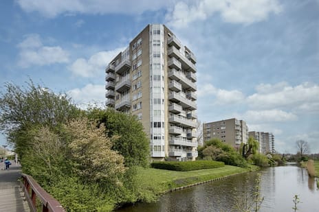 Rosa Spierlaan thumbnail