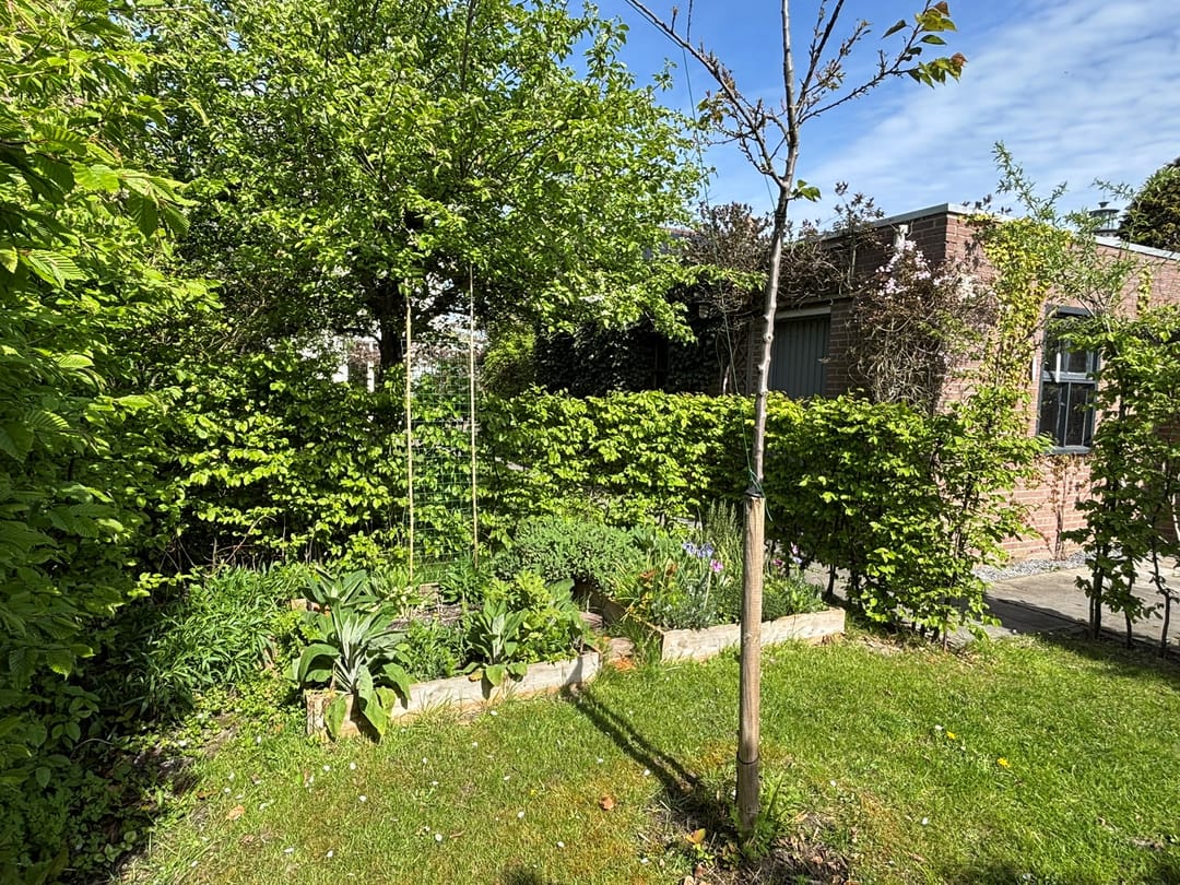 Foto 41 van Bredestraat 34