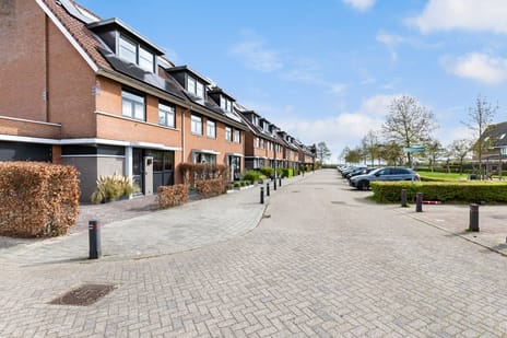 Morgenster 13 secondary image