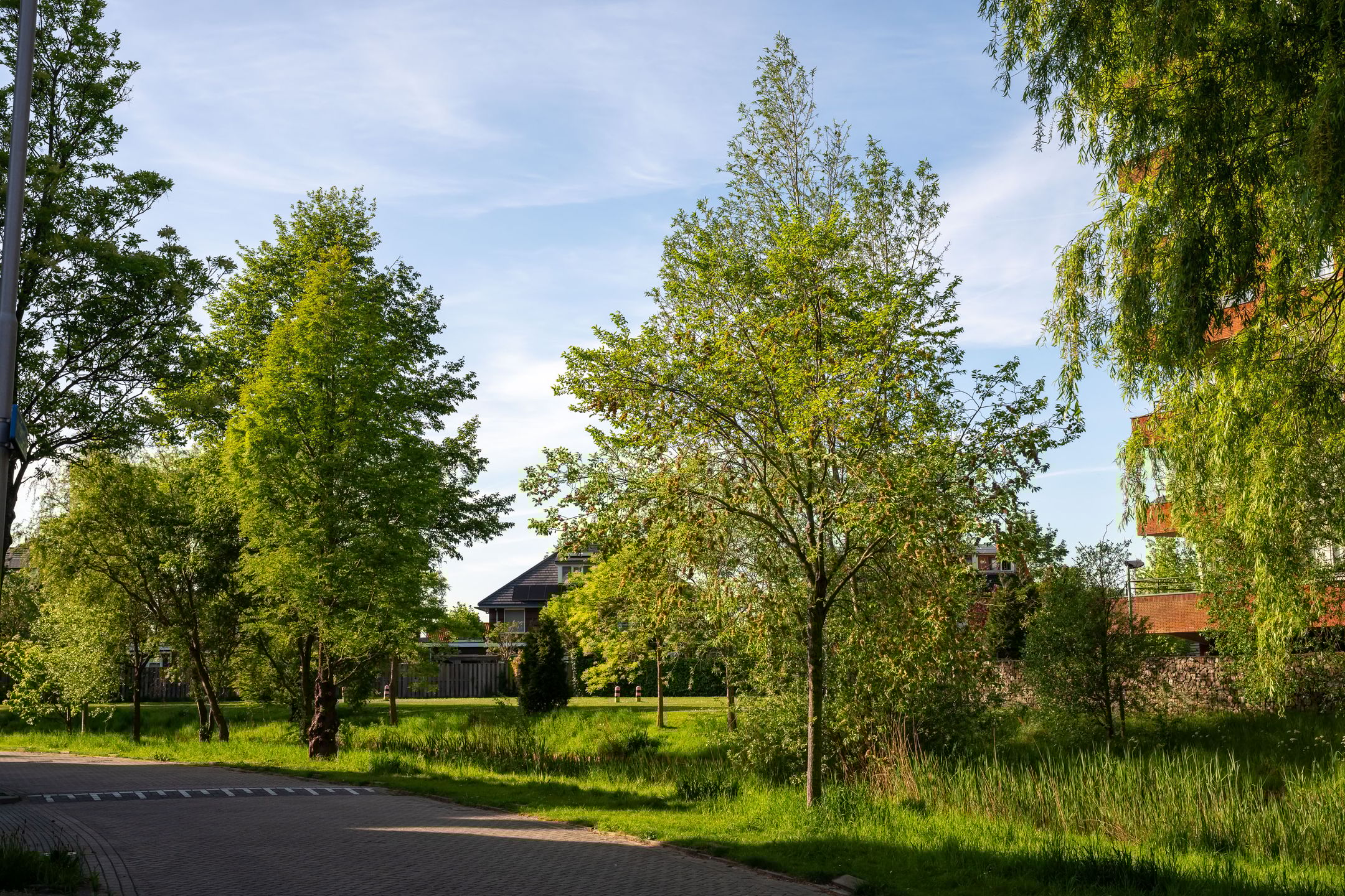 Foto 30 van Molensingel 81