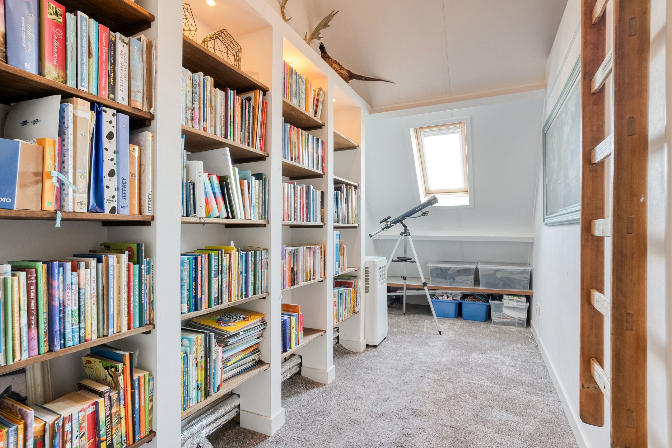 Photo 33 of Geldermanmate 1