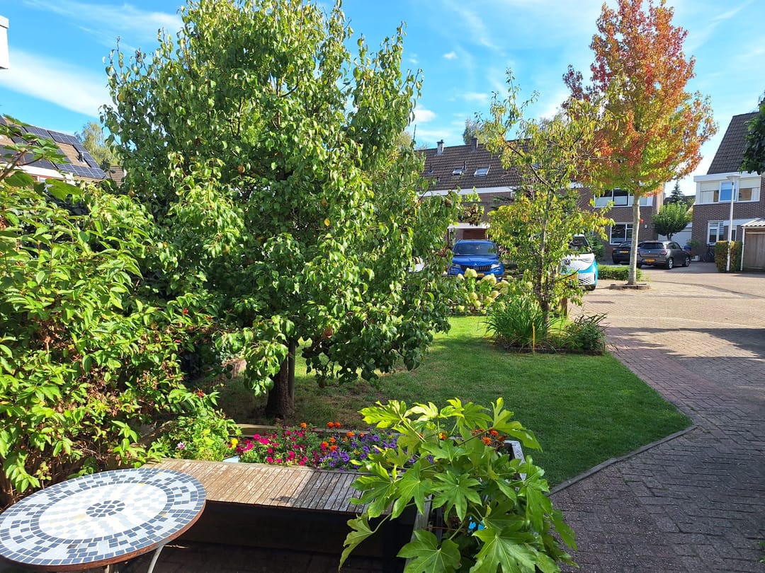 Photo 38 of Geldermanmate 1