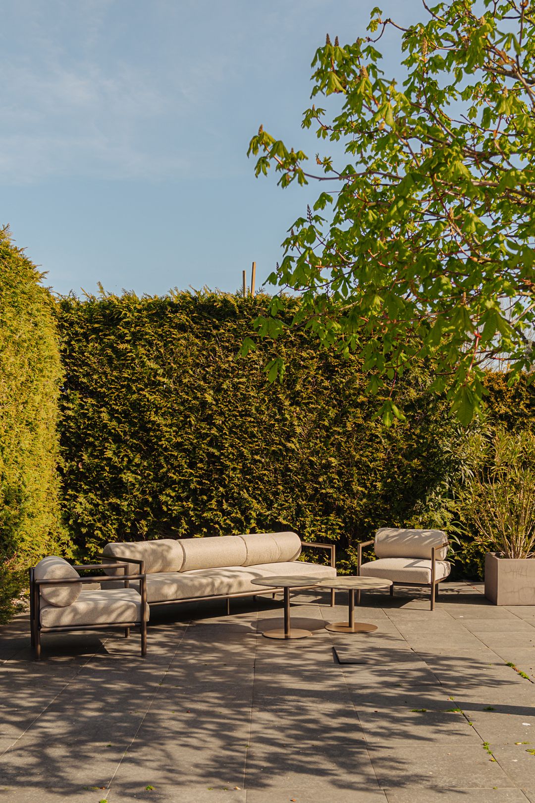 Photo 53 of De Grote Wielen 53