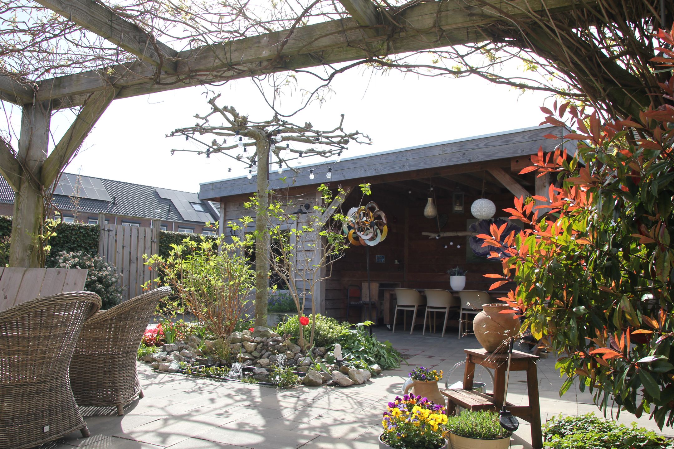 Photo 39 of Binnenkruier 1