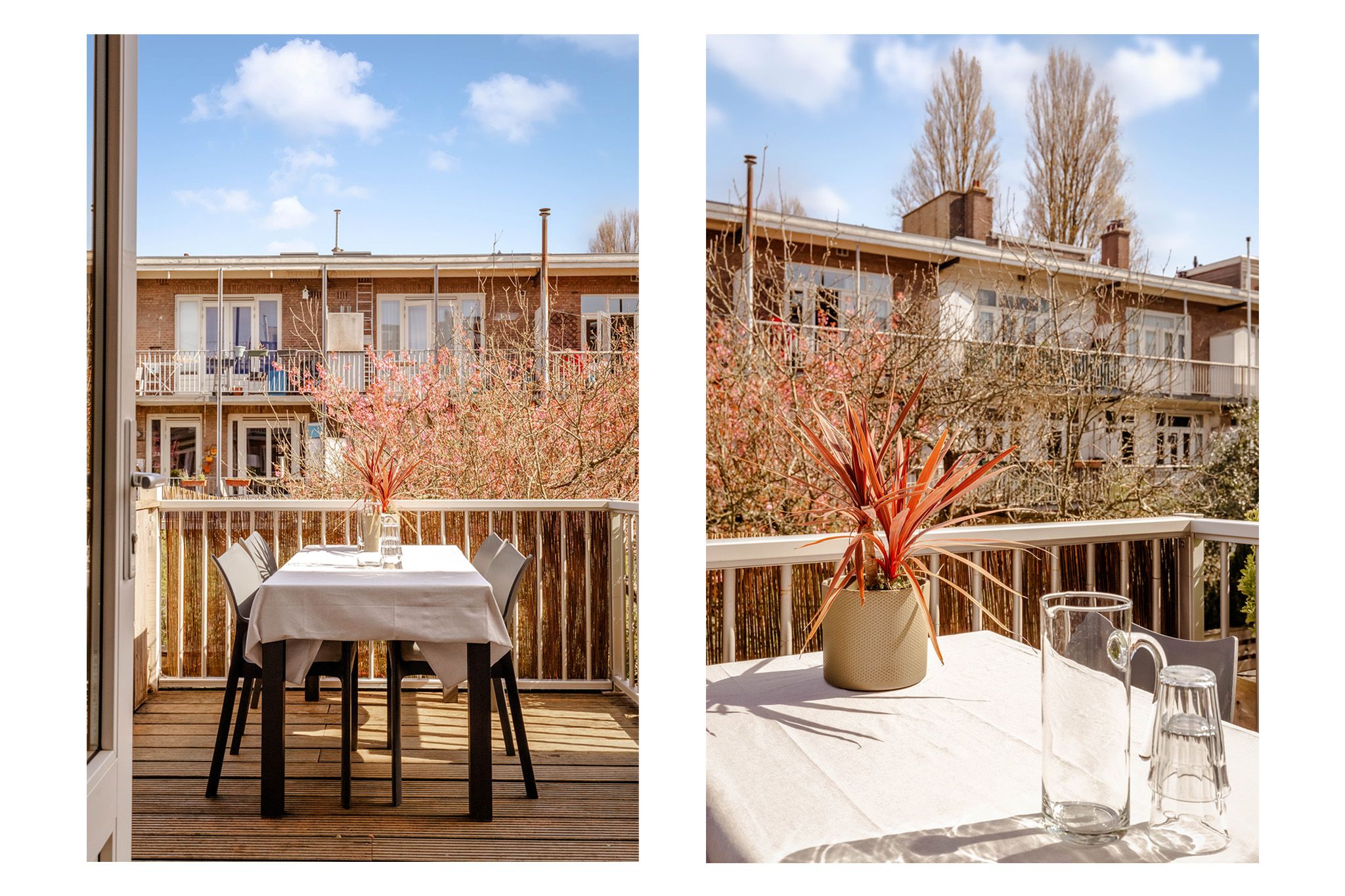 Foto 18 van Linnaeusparkweg 137