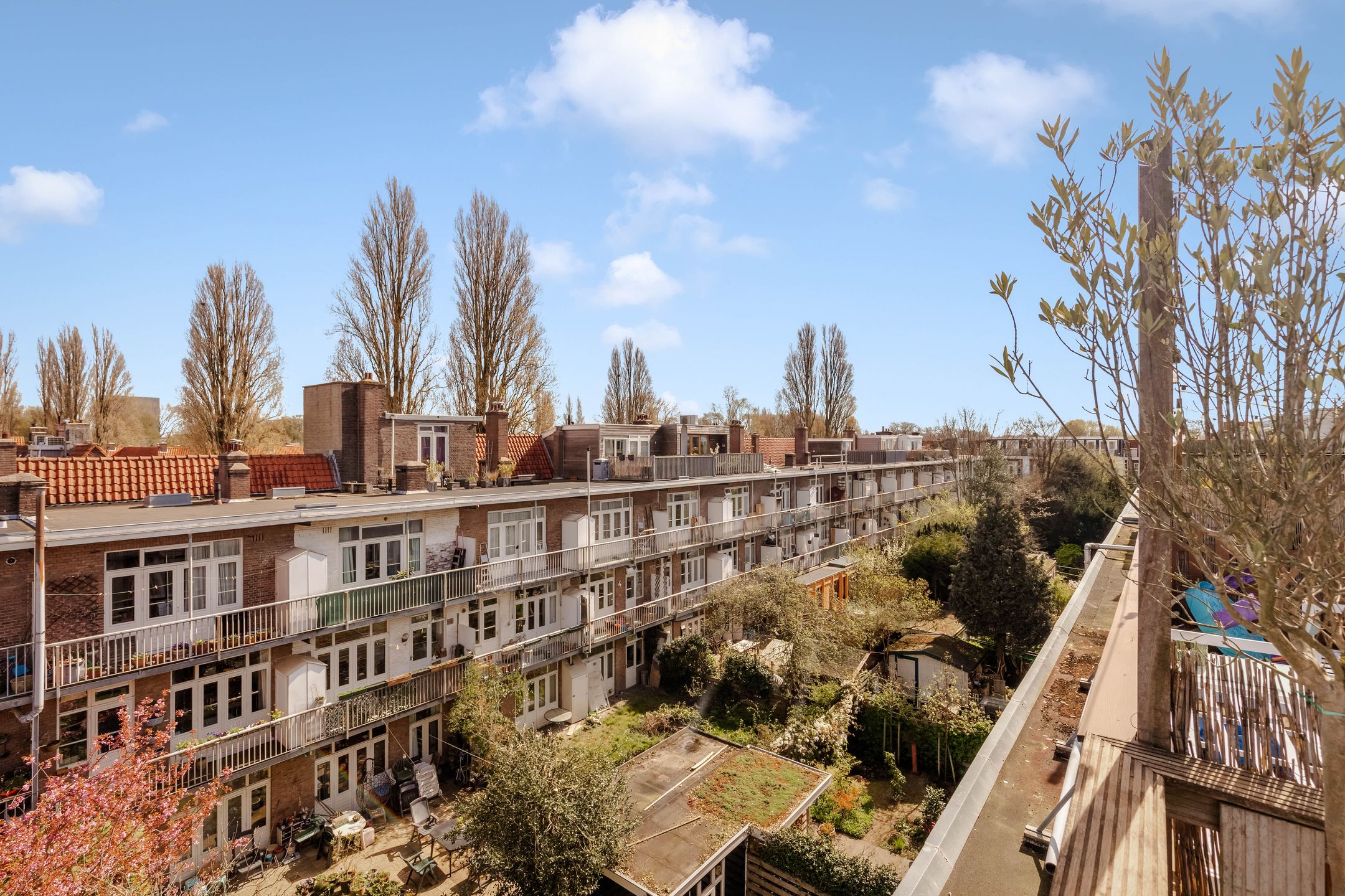 Foto 39 van Linnaeusparkweg 137