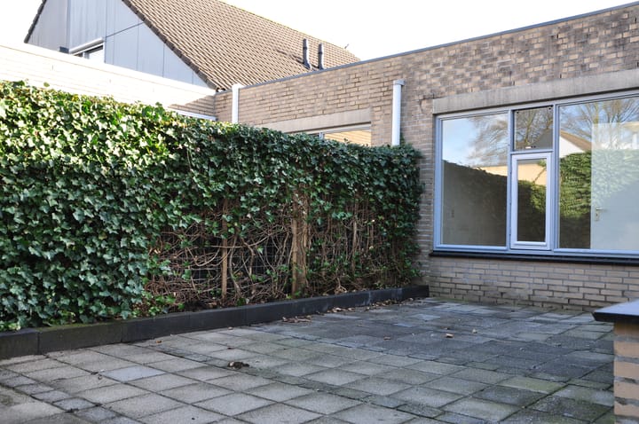 Foto 2 van Sneevliethof 13