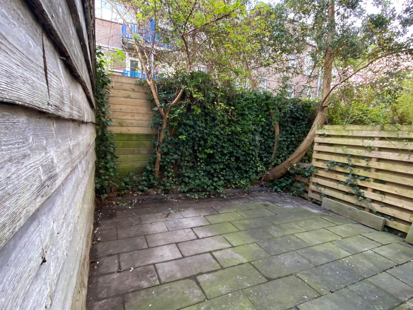 Photo 14 of Tweede van Swindenstraat 190-H