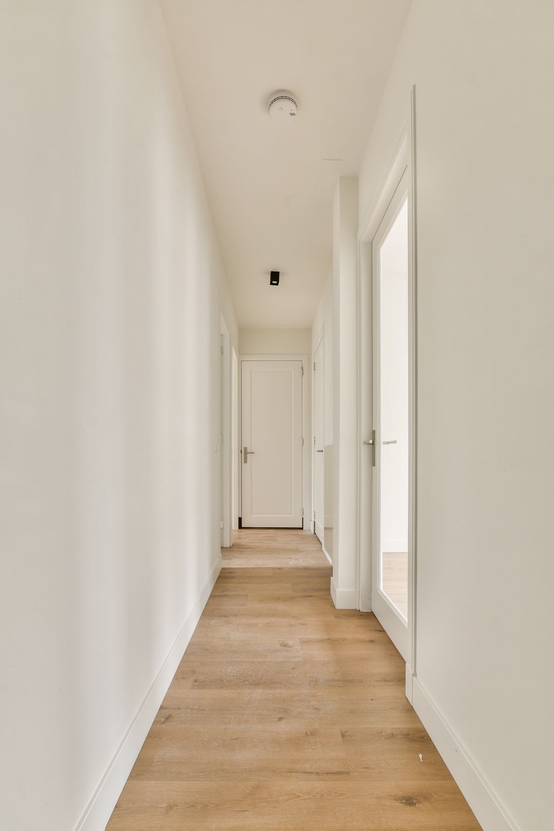 Foto 8 van Botticellistraat 38-2B