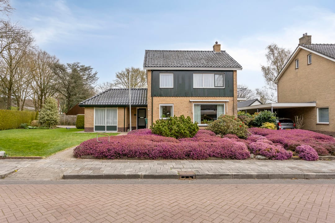 Photo 1 of De Elzen 1