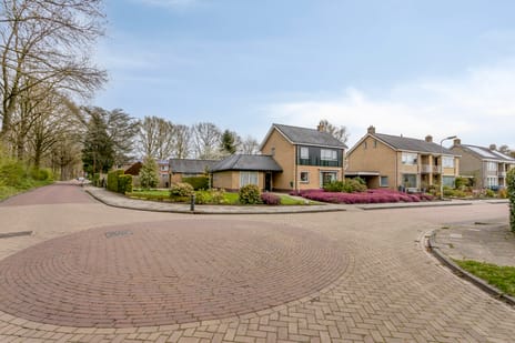 De Elzen 1 tertiary image