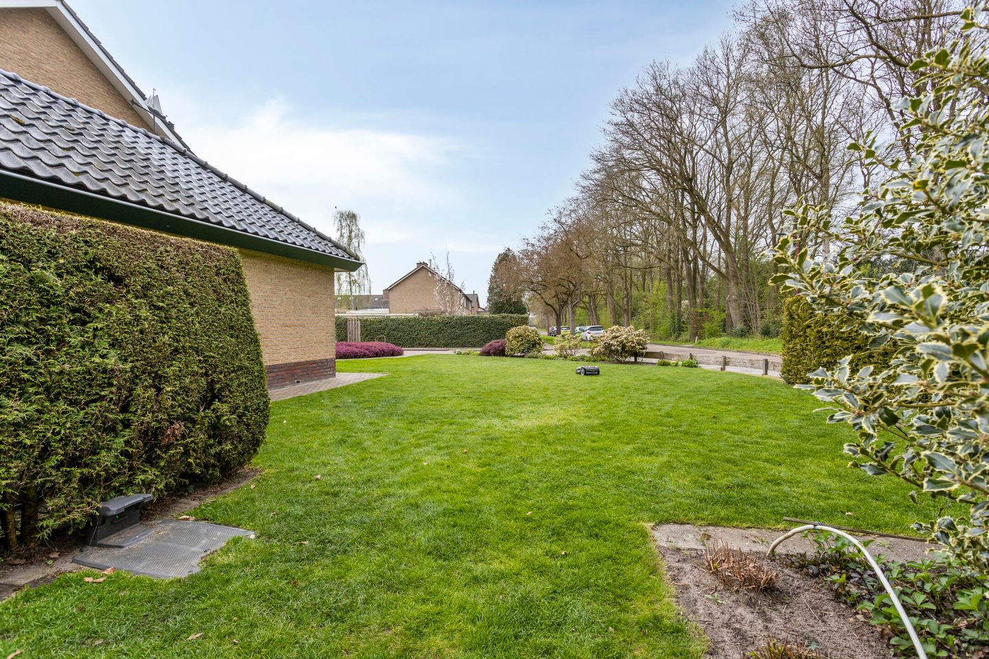 Photo 35 of De Elzen 1