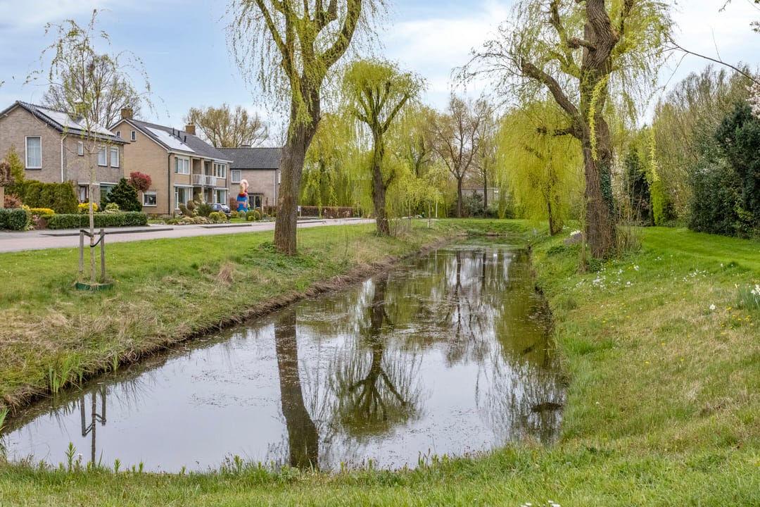 Photo 43 of De Elzen 1