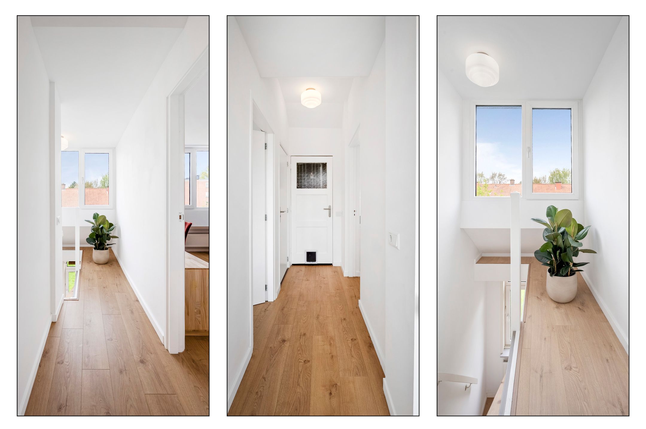 Foto 24 van Van Nouhuysstraat 31-B