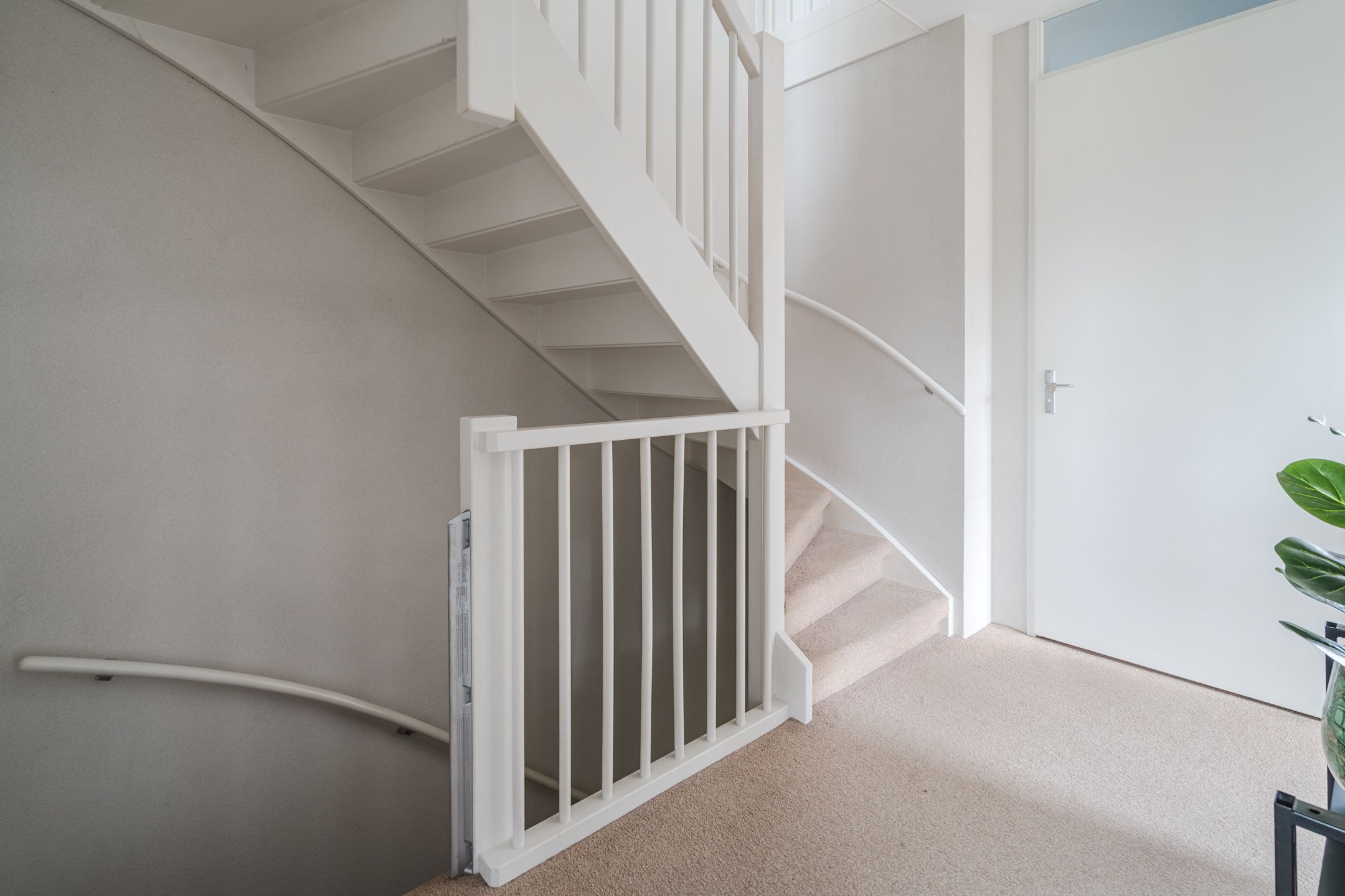 Foto 12 van Arabische Zee 1