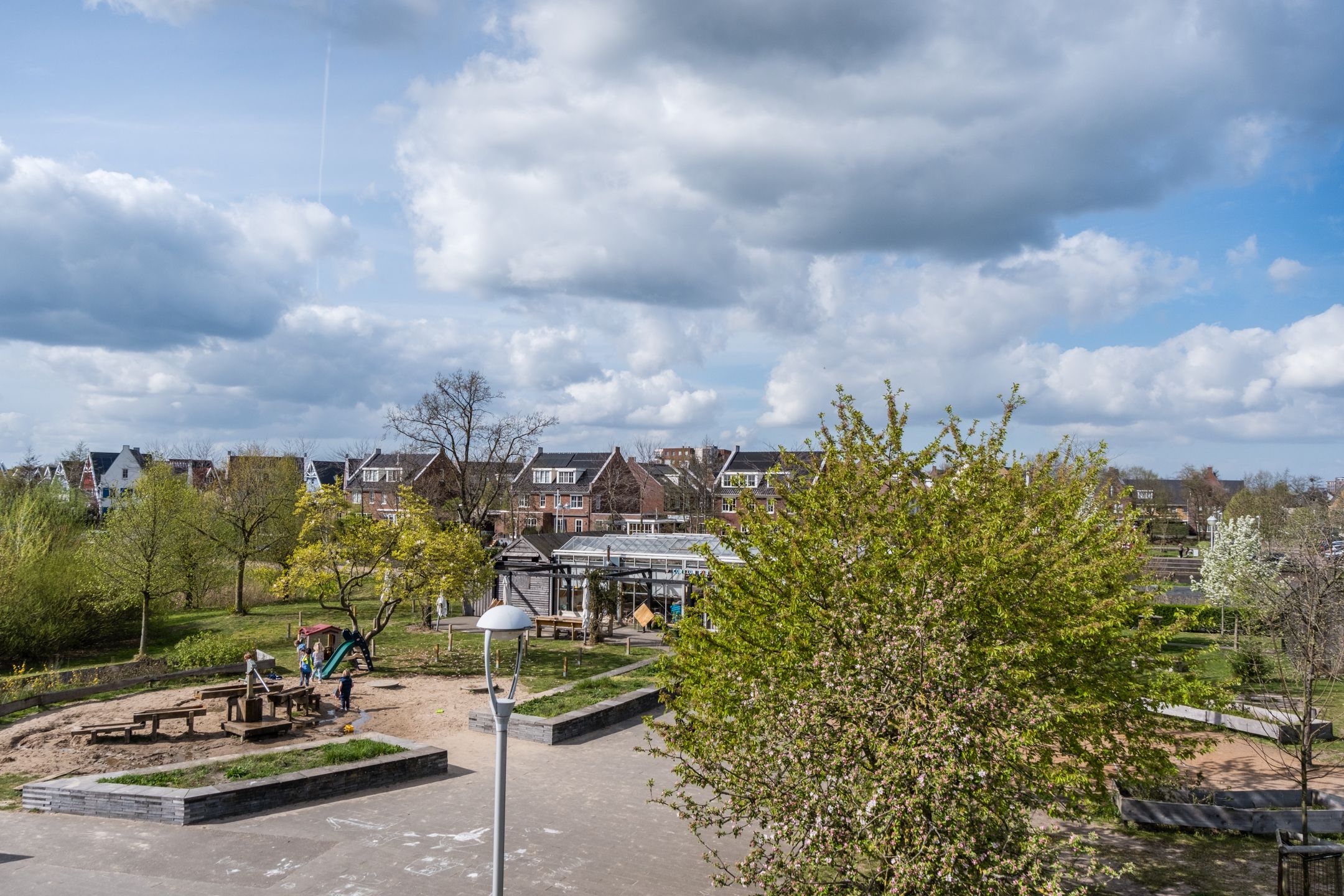 Foto 30 van Arabische Zee 1