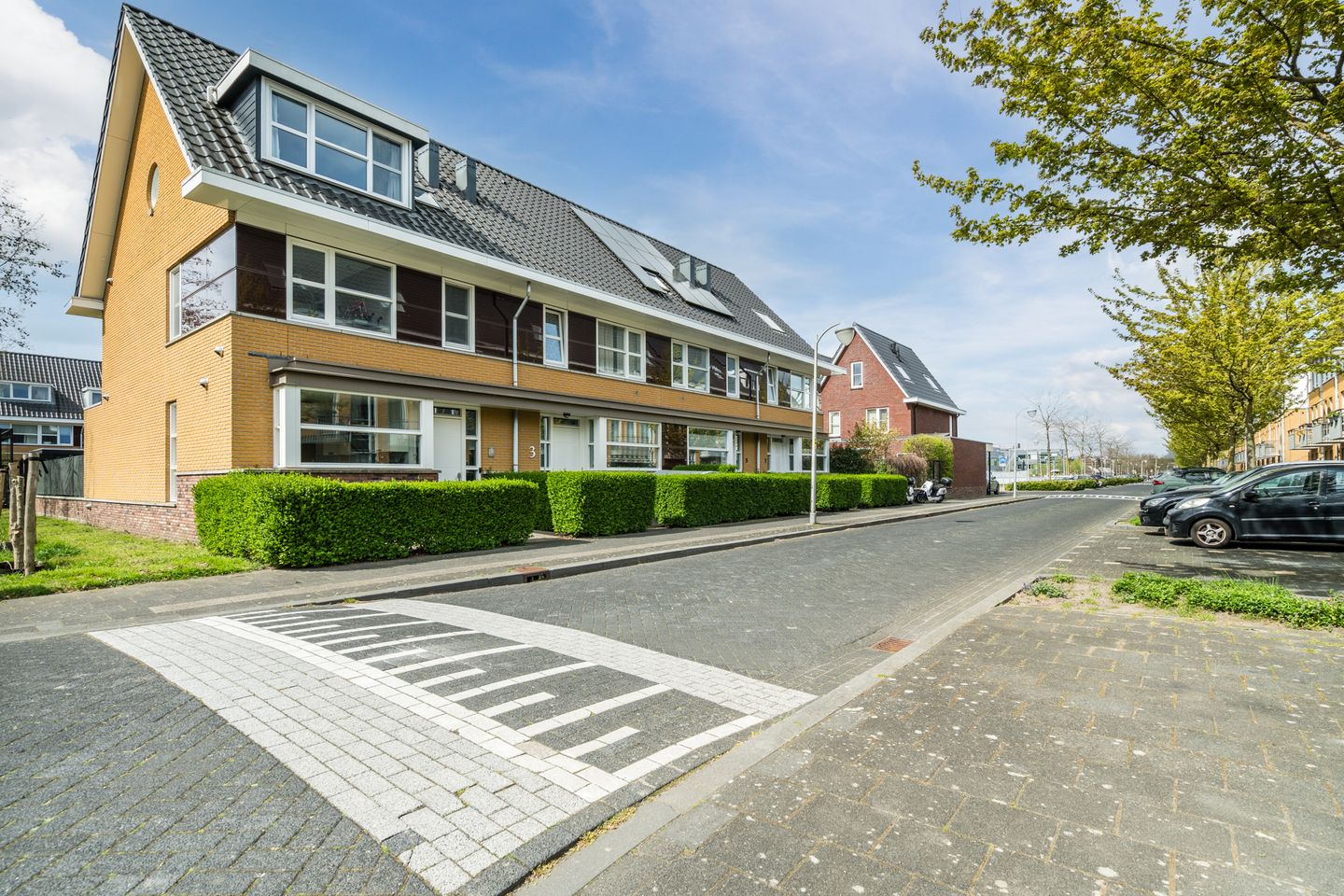 Foto 29 van Arabische Zee 1