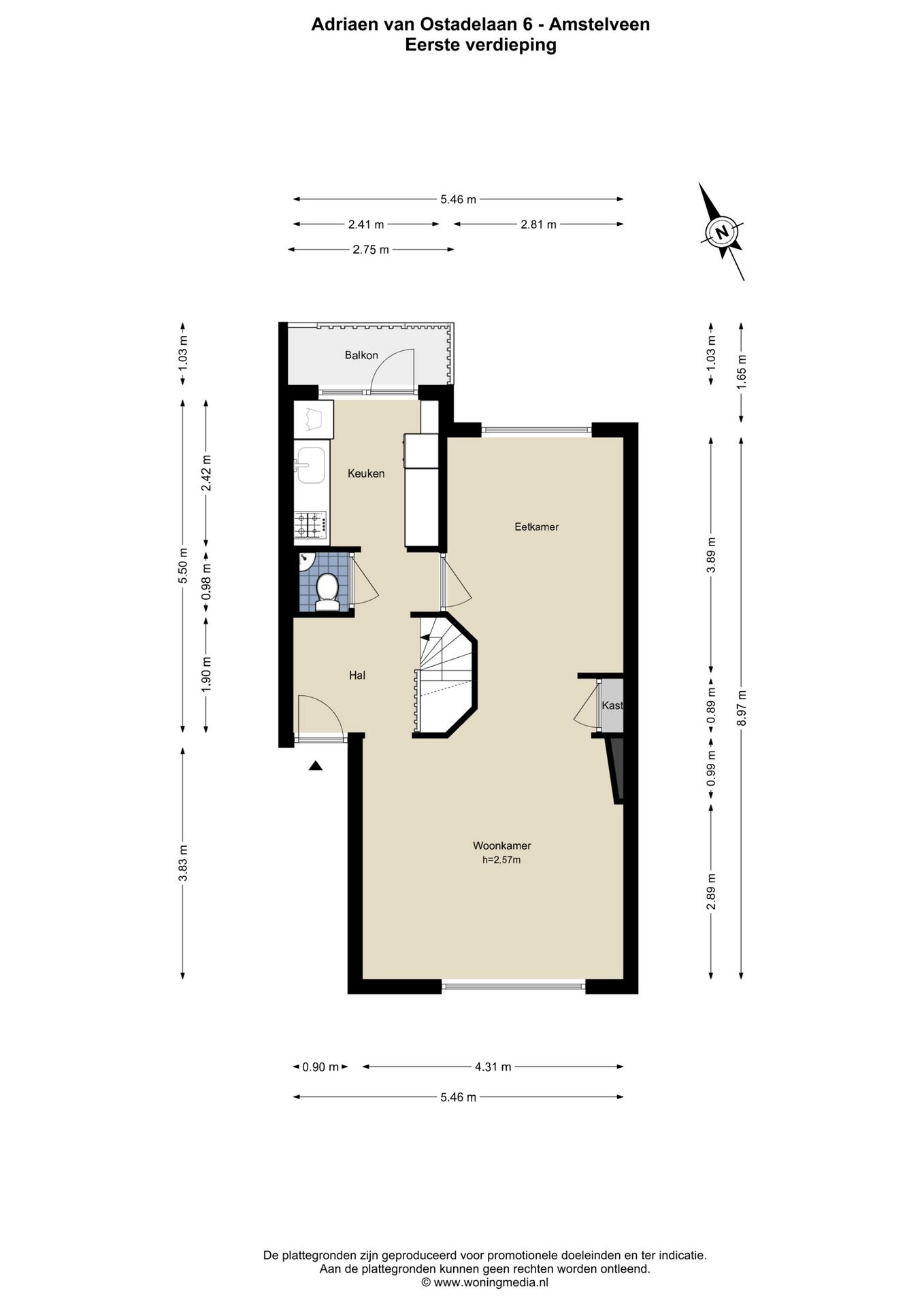 Photo 33 of Adriaen van Ostadelaan 6