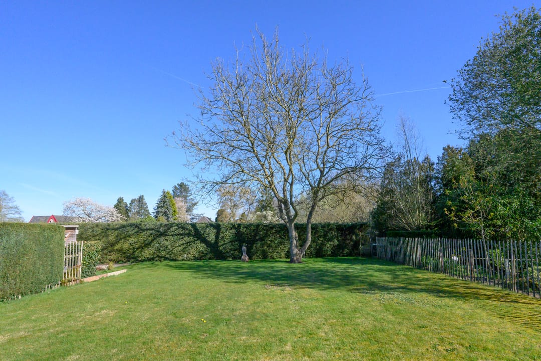 Foto 2 van Knoevenoordstraat 2