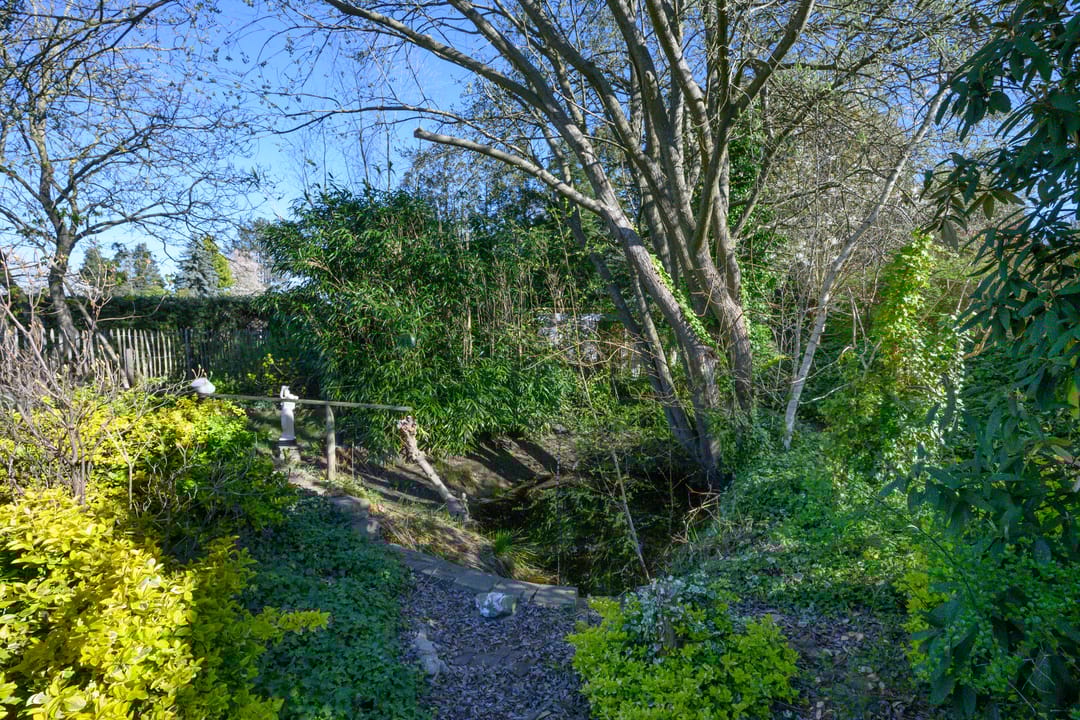 Foto 23 van Knoevenoordstraat 2