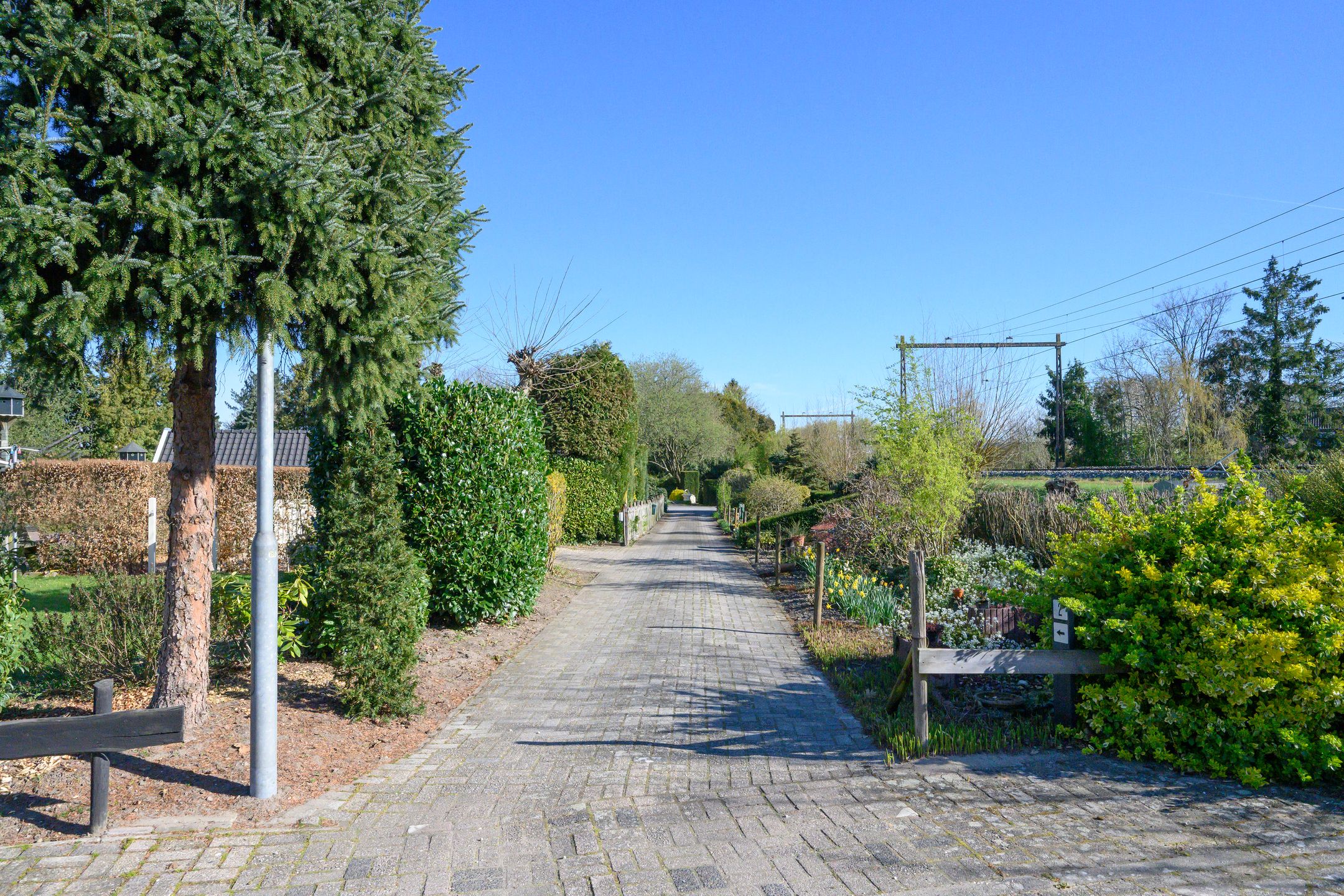 Foto 30 van Knoevenoordstraat 2