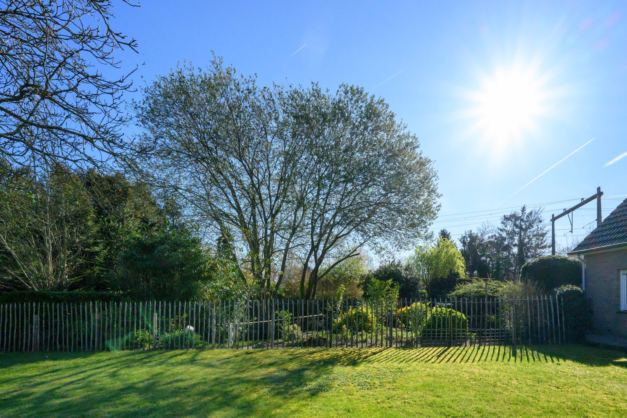 Foto 24 van Knoevenoordstraat 2