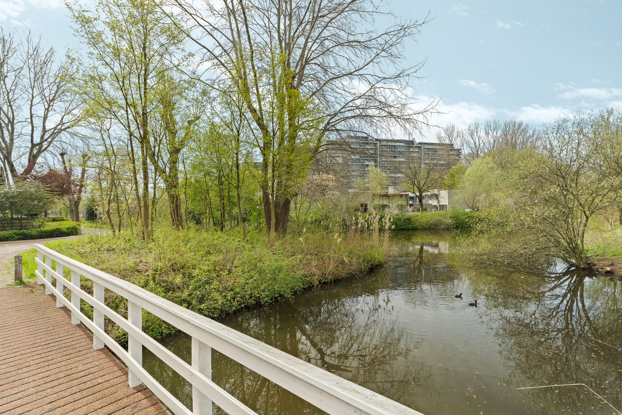 Photo 30 of Michaëlplein 96