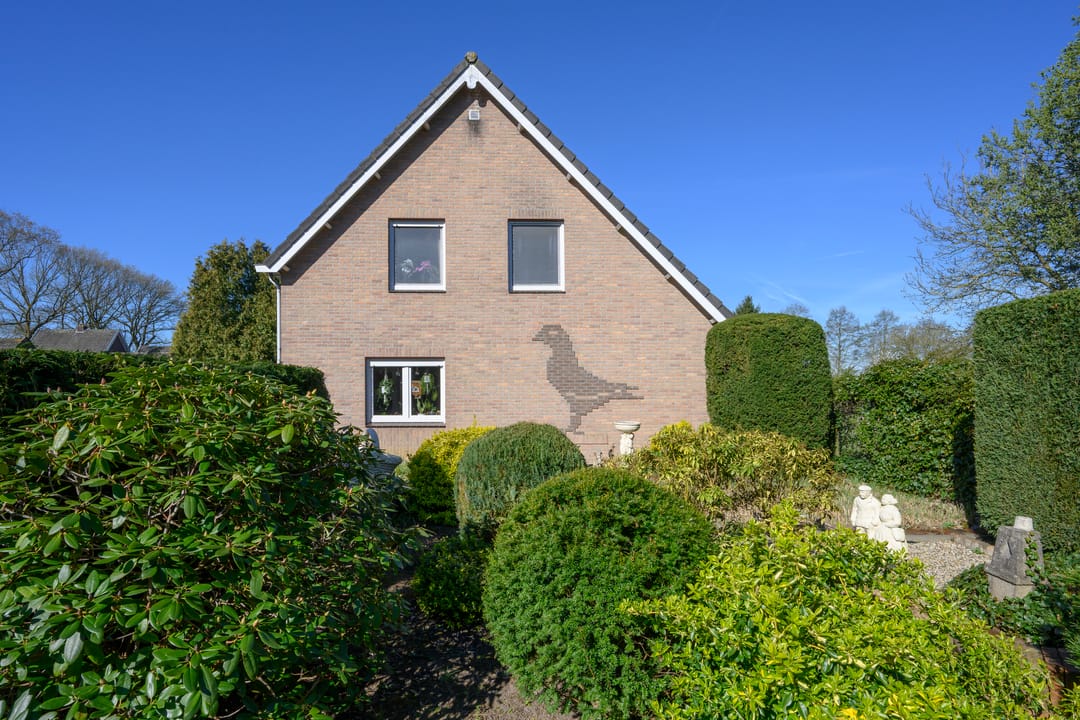 Foto 31 van Knoevenoordstraat 2